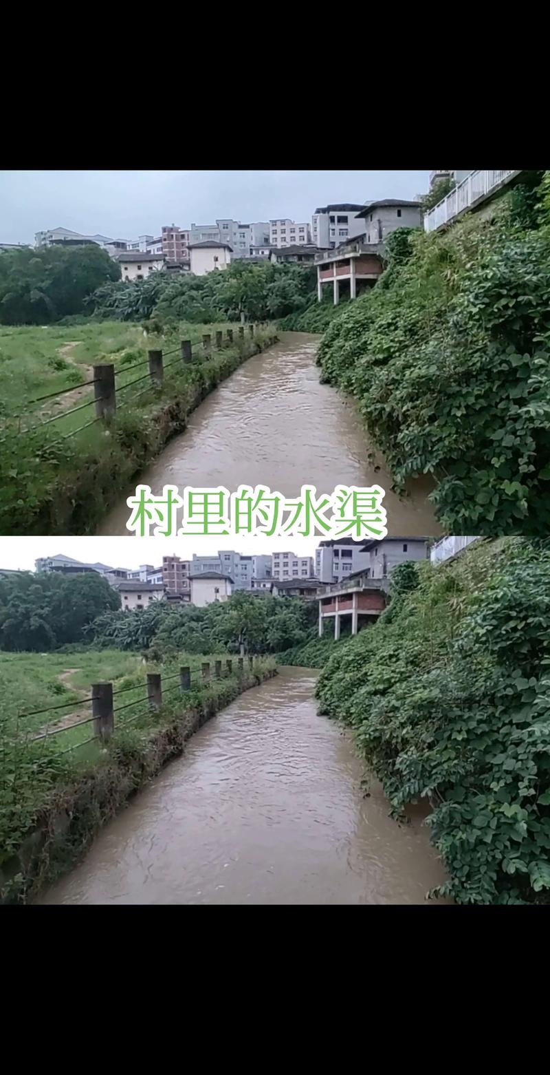 探索水力发电的奇妙世界
