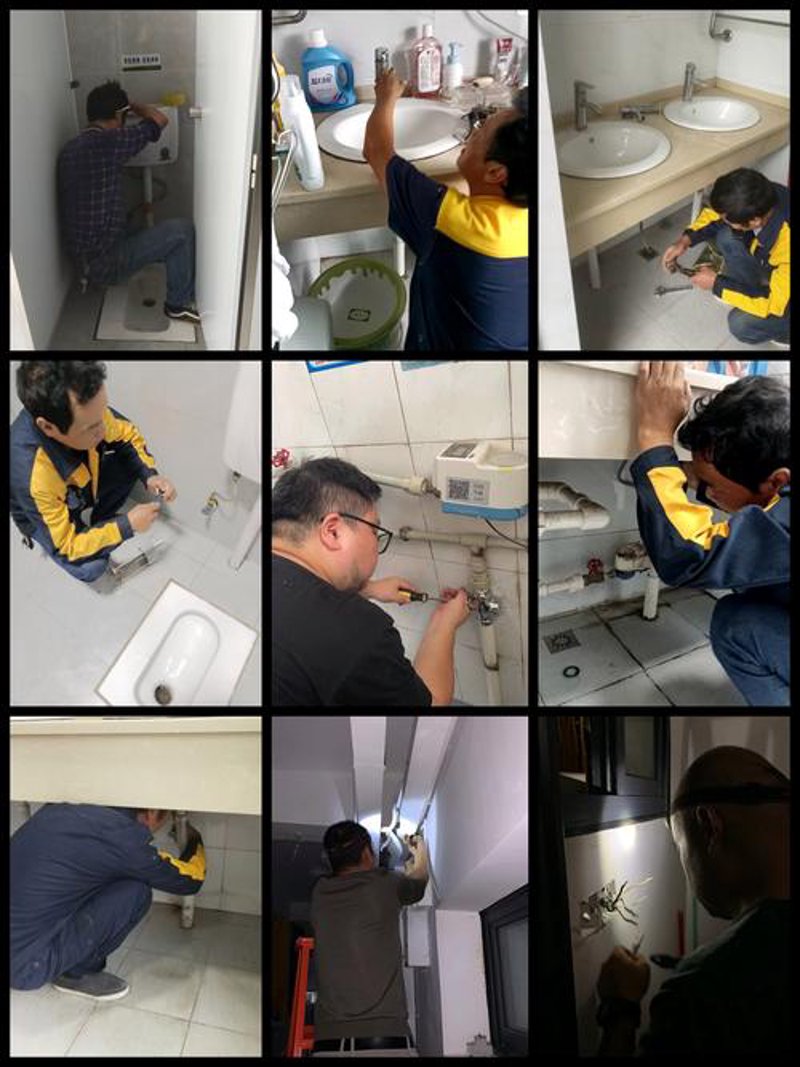 水电的绿色崛起：以小浪底水力发电站为例